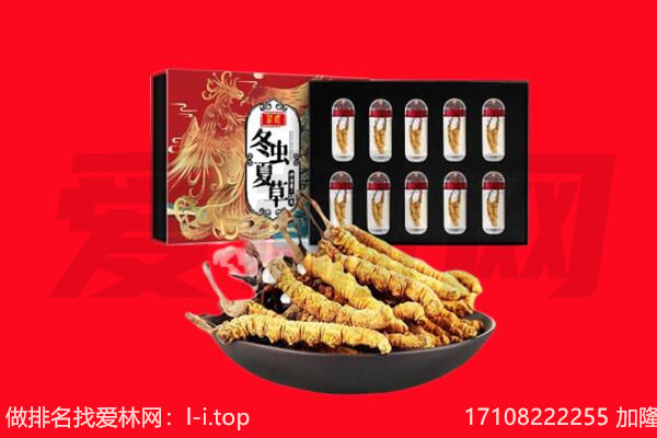 崇左市大新回收虫草.jpg